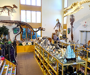 Largest A to Z Mineral Shop in CT
