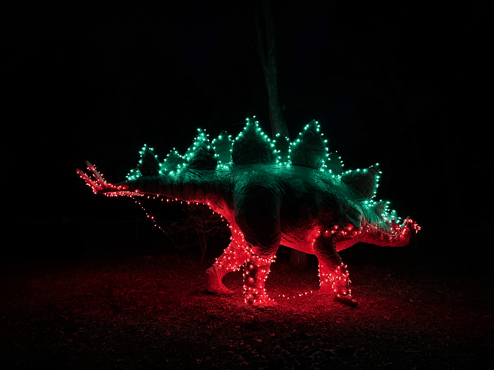 marshmallow roasting