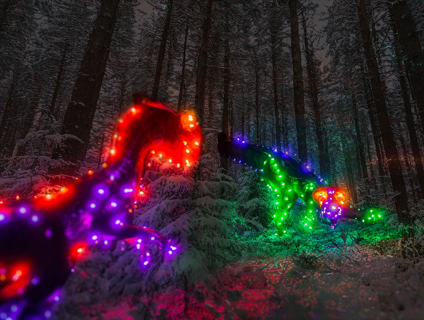 marshmallow roasting